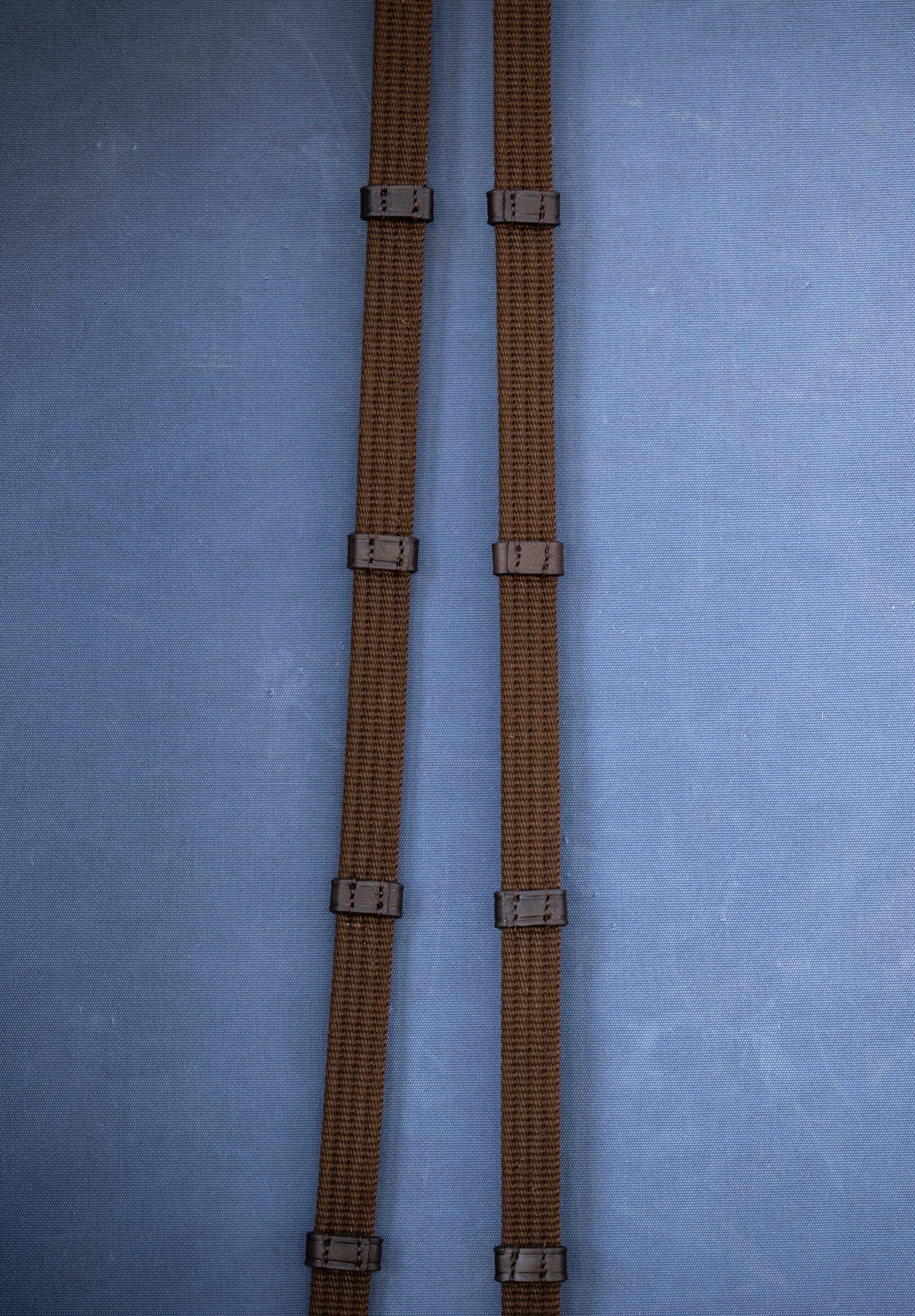 Web Reins with Loops